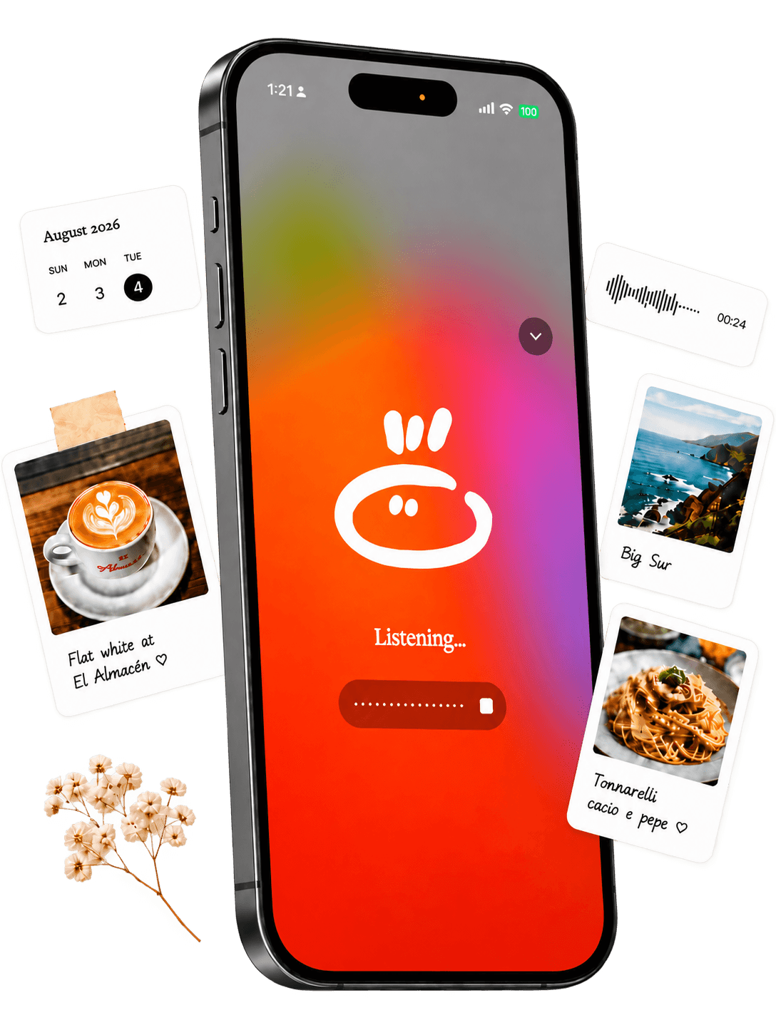 Place app preview
